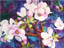 Apple Blossoms - watercolor